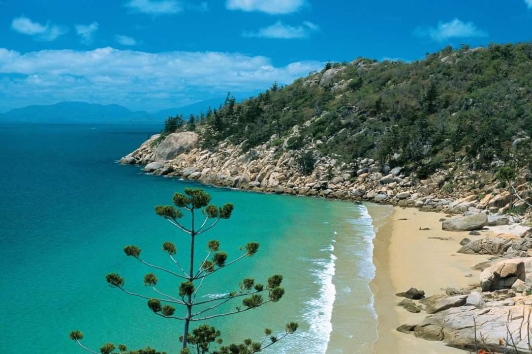 Beachside Cottage - A Private Peaceful Hidden Gem 50M To Beach Nelly Bay Ngoại thất bức ảnh